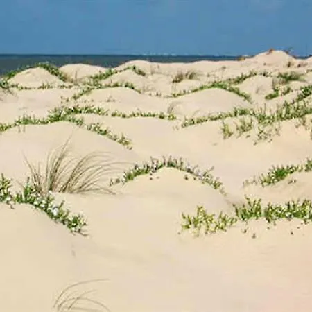 Maison Familiale Spacieuse A Avec Jardin 120 M² * 滨海勒韦尔东